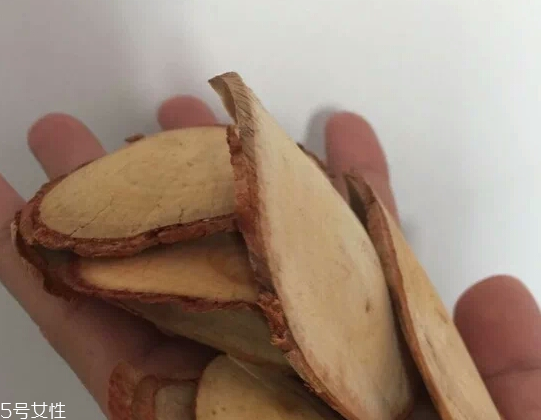 東革阿里是中藥嗎？東革阿里是什么？