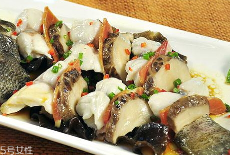 龍躉魚的營養(yǎng)價(jià)值 龍躉魚多少錢一斤2018