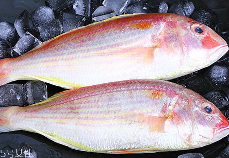 紅杉魚(yú)多少錢一斤2018 紅杉魚(yú)的挑選技巧