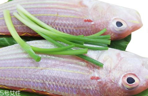 紅杉魚(yú)多少錢一斤2018 紅杉魚(yú)的挑選技巧