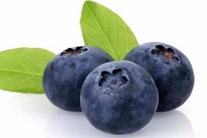 花青素是雌激素嗎？花青素是什么？