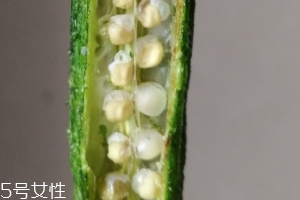 秋葵干好吃嗎？秋葵干怎么吃？