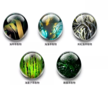 jm防曬噴霧什么味道？jmsolution防曬噴霧好聞嗎？
