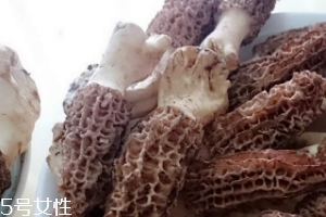 羊肚菌是什么東西？羊肚菌能吃嗎？