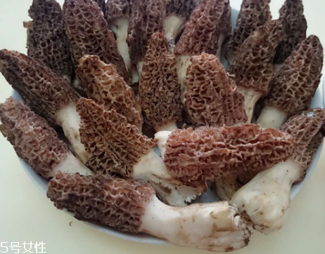 羊肚菌是什么東西？羊肚菌能吃嗎？