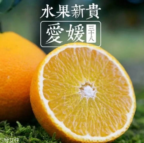 愛媛38號多少錢一斤？愛媛38號柑桔市場行情