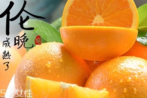倫晚臍橙口感是酸的還是甜的？倫晚臍橙好吃嗎