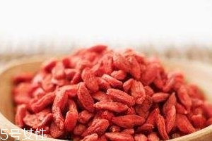 枸杞是哪個地方的特產(chǎn)？哪里產(chǎn)的枸杞好？