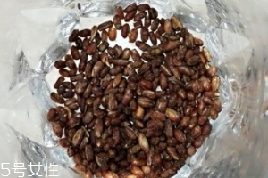 青稞茶怎么沖泡？青稞茶沖泡方法