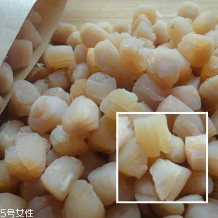 干貝是海鮮嗎？干貝是什么動(dòng)物做的？