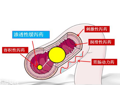 瀉藥吃了多久后開始排便？