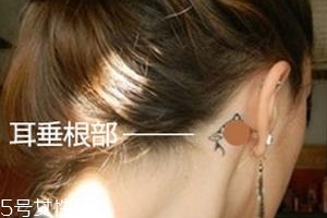 暈車貼貼哪里？暈車貼貼哪里示意圖