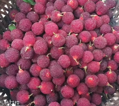烏酥楊梅多少錢一斤？烏酥楊梅好吃嗎