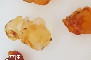 桃膠能生吃嗎？生吃桃膠可以嗎？
