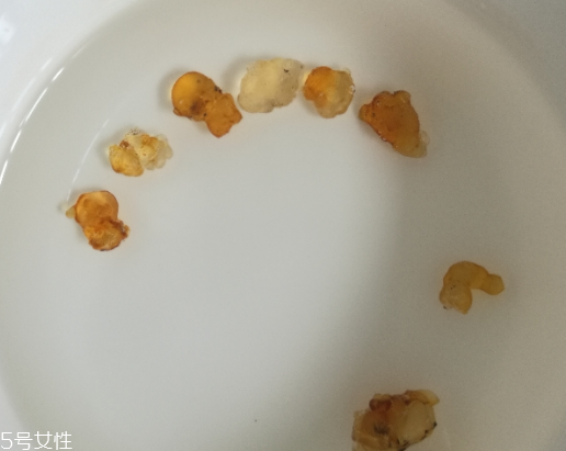桃膠能和紅糖一起煮嗎？桃膠煮紅糖好嗎？