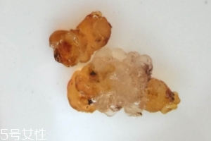 桃膠可以用開水泡嗎？用開水泡桃膠好嗎？