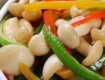 白玉菇怎么吃？白玉菇怎么做好吃