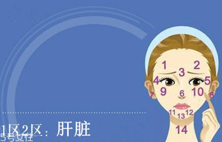 臉上各部位長痘痘圖解 快速祛痘的簡(jiǎn)單方法