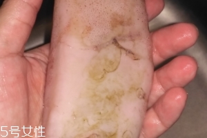 魷魚是海鮮嗎？魷魚屬于海鮮嗎？