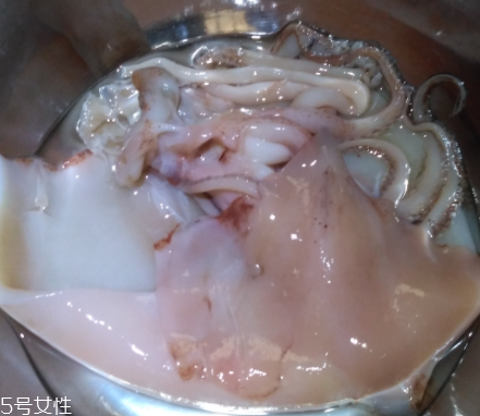 魷魚是海鮮嗎？魷魚屬于海鮮嗎？