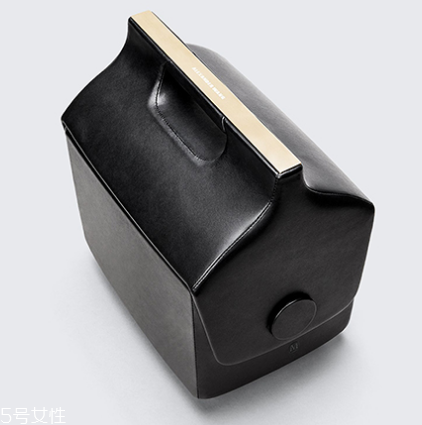 alexander wang與夢(mèng)龍合作款包包多少錢(qián)_在哪買(mǎi)？