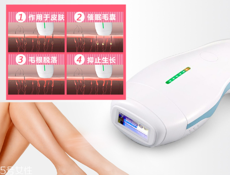 deess脫毛儀多少錢？蒂絲脫毛儀價格