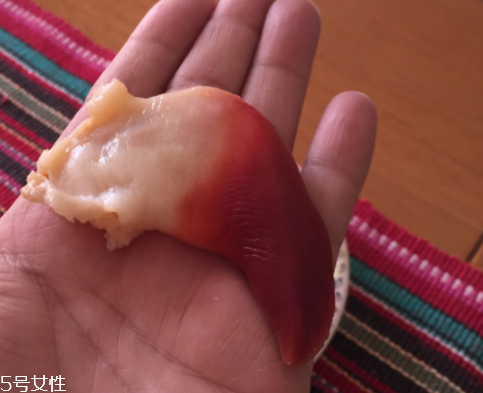 北極貝是海鮮嗎？北極貝介紹