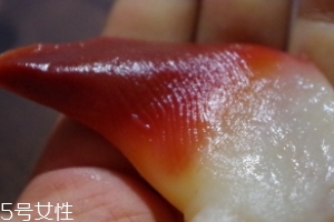北極貝能不能煮？煮北極貝可以嗎？