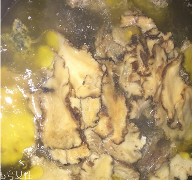 烏骨雞是烏雞嗎？烏骨雞是什么雞？