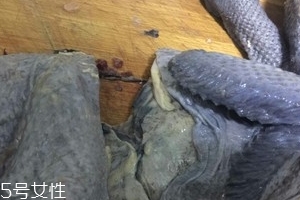 烏雞下奶嗎？烏雞怎么吃下奶？