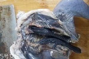 烏雞是公雞好還是母雞好？烏雞買公雞還是母雞？