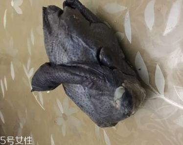 烏雞是熱性還是涼性？烏雞偏熱還是偏涼？