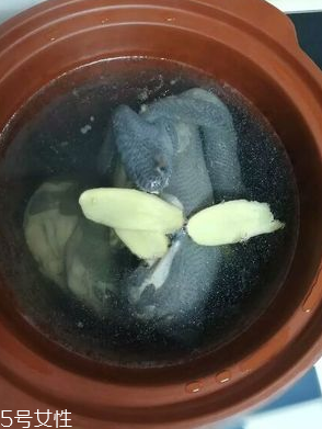 烏雞是熱性還是涼性？烏雞偏熱還是偏涼？