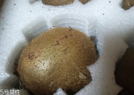 綠心獼猴桃硬的能吃嗎？硬的綠心獼猴桃能吃嗎？