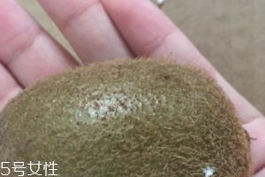 綠心獼猴桃含葉酸嗎？綠心獼猴桃里面有葉酸嗎？