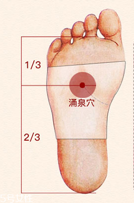 溢涌堂老北京足貼價(jià)錢 溢涌堂老北京足貼多少錢？