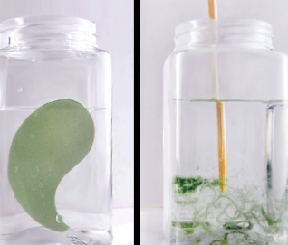 悅蕾眼膜多少錢(qián)一盒？悅蕾眼膜一盒多少片