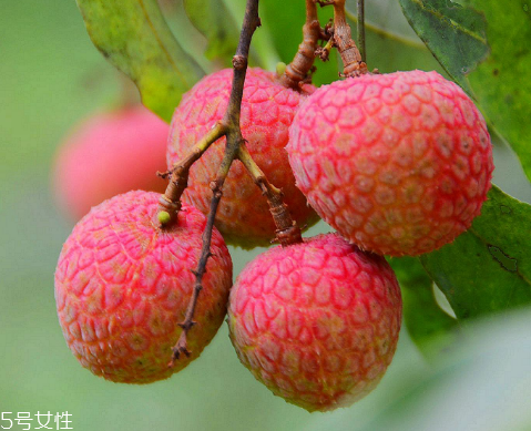 荔枝是涼性還是熱性？月經(jīng)來了能吃荔枝嗎
