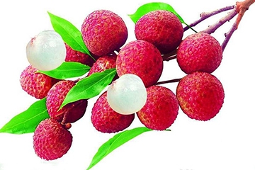 荔枝的品種 荔枝有哪些種類(lèi)？