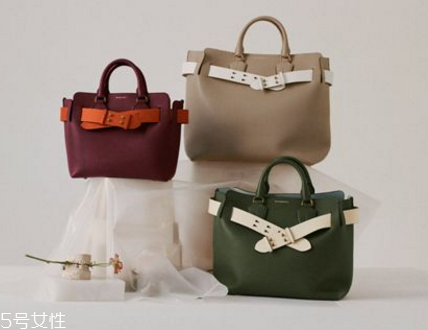 burberry the belt bag多少錢？巴寶莉貝爾特包專柜價格