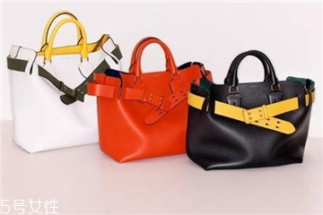 burberry the belt bag多少錢？巴寶莉貝爾特包專柜價格