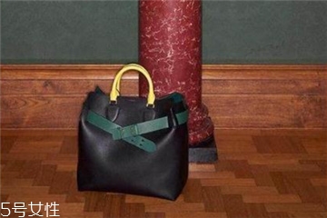 burberry the belt是什么皮？巴寶莉貝爾特包材質(zhì)