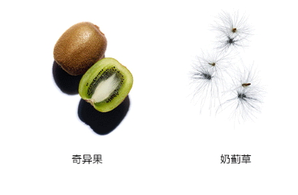 嬌韻詩雙萃精華多少錢？嬌韻詩雙萃精華容量