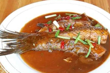 青魚是鯉魚嗎？青魚和鯉魚是不是一樣的？