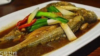 青魚是鯉魚嗎？青魚和鯉魚是不是一樣的？