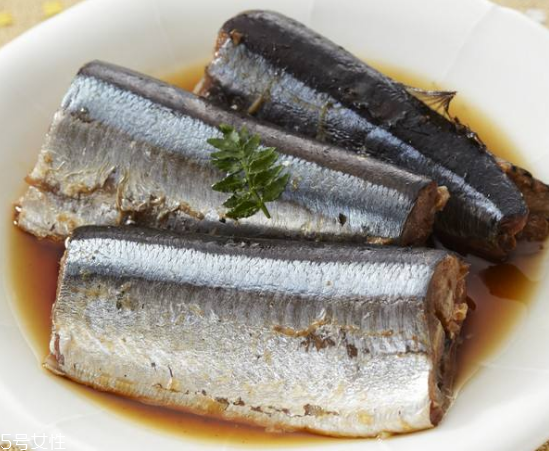 青魚怎么釣？青魚可以用什么餌料？