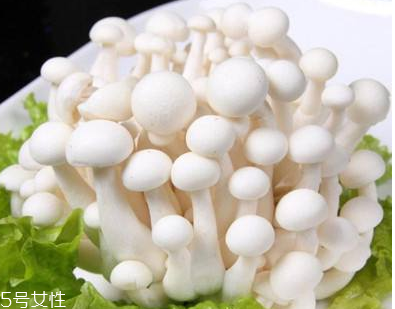 白玉菇的選購技巧 白玉菇怎么挑選？