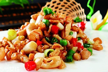 白玉菇和金針菇的區(qū)別 白玉菇是金針菇嗎？