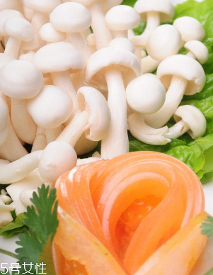 白玉菇和金針菇的區(qū)別 白玉菇是金針菇嗎？