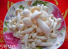 白玉菇能和西紅柿一起吃嗎？白玉菇能和番茄一起吃嗎？